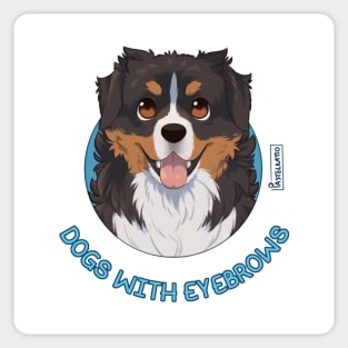 Dogs with Eyebrows - Bernese Mountain Dog Sticker